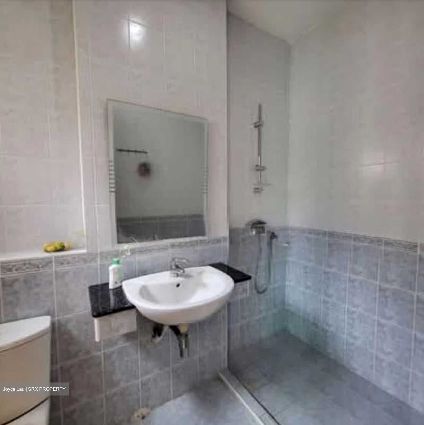 Toh Tuck Crescent (D21), Apartment #603629071
